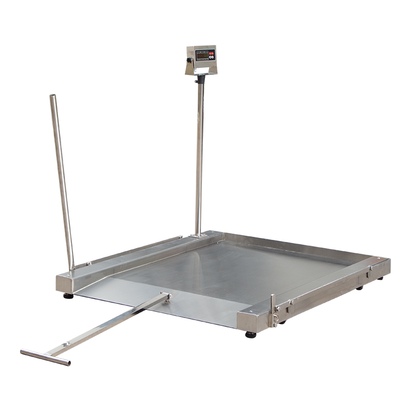 304不銹鋼可移動(dòng)平臺秤